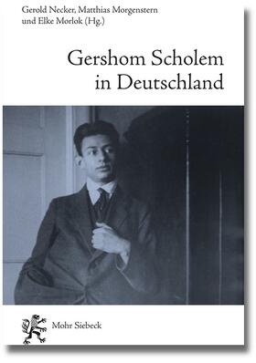 Necker / Morlok / Morgenstern |  Gershom Scholem in Deutschland | Buch |  Sack Fachmedien