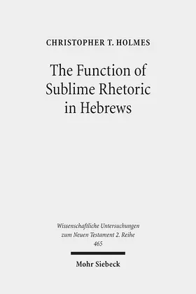 Holmes |  The Function of Sublime Rhetoric in Hebrews | Buch |  Sack Fachmedien