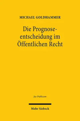 Goldhammer |  Die Prognoseentscheidung im Öffentlichen Recht | Buch |  Sack Fachmedien