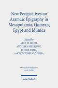 Maeir / Berlejung / Eshel |  New Perspectives on Aramaic Epigraphy in Mesopotamia, Qumran, Egypt and Idumea | eBook | Sack Fachmedien