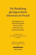 Baetge / Basedow / Kötz |  Die Bündelung gleichgerichteter Interessen im Prozeß | eBook | Sack Fachmedien