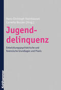 Bessler / Steinhausen |  Jugenddelinquenz | Buch |  Sack Fachmedien