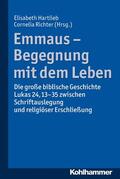 Hartlieb / Richter |  Emmaus - Begegnung mit dem Leben | eBook | Sack Fachmedien