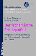 Ringelstein / Nabavi / Brandt |  Der ischämische Schlaganfall | eBook | Sack Fachmedien