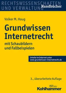 Haug |  Grundwissen Internetrecht | Buch |  Sack Fachmedien