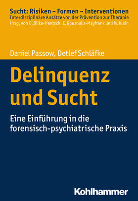 Passow / Schläfke / Bilke-Hentsch | Delinquenz und Sucht | E-Book | sack.de