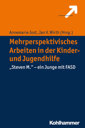 Jost / Wirth |  Mehrperspektivisches Arbeiten in der Kinder- und Jugendhilfe | eBook | Sack Fachmedien