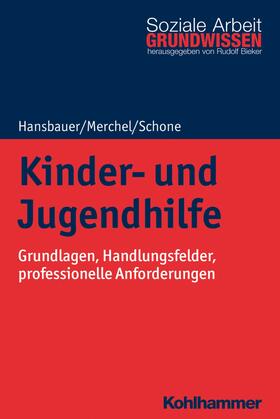 Hansbauer / Merchel / Schone |  Kinder- und Jugendhilfe | eBook | Sack Fachmedien