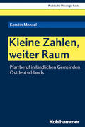 Menzel / Altmeyer / Bauer |  Kleine Zahlen, weiter Raum | eBook | Sack Fachmedien