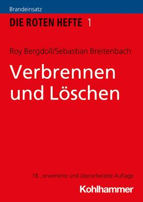 Bergdoll / Breitenbach | Verbrennen und Löschen | E-Book | sack.de
