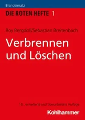 Bergdoll / Breitenbach |  Verbrennen und Löschen | eBook | Sack Fachmedien