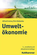 Endres / Rübbelke |  Umweltökonomie | Buch |  Sack Fachmedien