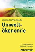 Endres / Rübbelke |  Umweltökonomie | eBook | Sack Fachmedien