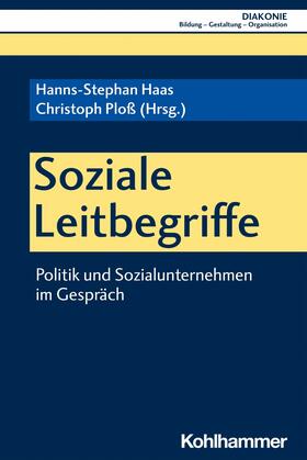 Haas / Ploß / Hofmann | Chancen begreifen | E-Book | sack.de