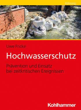 Fricke | Hochwasserschutz | Buch | 978-3-17-040649-0 | sack.de