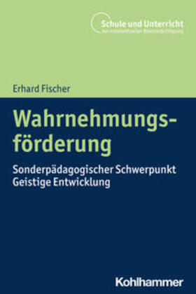 Fischer | Wahrnehmungsförderung | Buch | 978-3-17-040768-8 | sack.de
