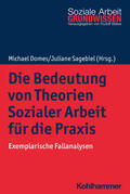 Domes / Sagebiel |  Die Bedeutung von Theorien Sozialer Arbeit für die Praxis | Buch |  Sack Fachmedien