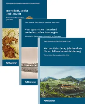 Brunecker / Hirbodian / Kießling |  Paket "Wirtschaft in Oberschwaben" | Buch |  Sack Fachmedien