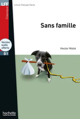 Malot |  Sans famille | Buch |  Sack Fachmedien