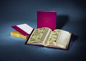 Munzel-Everling / Kocher / Zimmermann |  Der Heidelberger Sachsenspiegel | Buch |  Sack Fachmedien