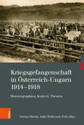 Moritz / Walleczek-Fritz / Stelzl-Marx |  Kriegsgefangenschaft in Österreich-Ungarn 1914-1918 | Buch |  Sack Fachmedien