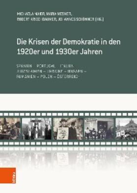 Maier / Mesner / Kriechbaumer | Die Krisen der Demokratie in den 1920er und 1930er Jahren | E-Book | sack.de