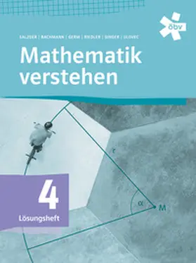 Salzger / Bachmann / Germ |  Mathematik verstehen 4, Lösungen | Buch |  Sack Fachmedien