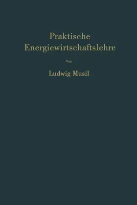Musil |  Praktische Energiewirtschaftslehre | Buch |  Sack Fachmedien