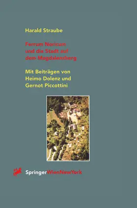 Straube |  Ferrum Noricum und die Stadt auf dem Magdalensberg | Buch |  Sack Fachmedien