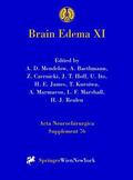 Mendelow / Ito / Baethmann |  Brain Edema XI | Buch |  Sack Fachmedien
