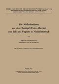 Steininger |  Die Molluskenfauna aus dem Burdigal (Unter-Miozän) von Fels am Wagram in Niederösterreich | Buch |  Sack Fachmedien