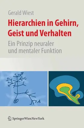 Wiest |  Hierarchien in Gehirn, Geist und Verhalten | eBook | Sack Fachmedien
