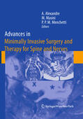 Alexandre / Masini / Menchetti |  Advances in Minimally Invasive Surgery and Therapy for Spine and Nerves | eBook | Sack Fachmedien