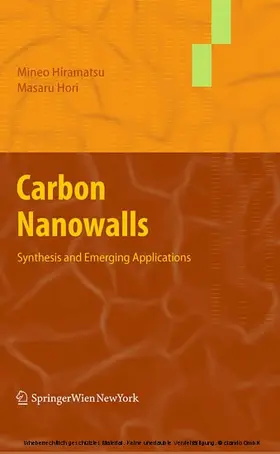 Hiramatsu / Hori | Carbon Nanowalls | E-Book | www.sack.de