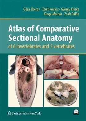 Zboray / Kovács / Pálfia | Atlas of Comparative Sectional Anatomy of 6 invertebrates and 5 vertebrates | Buch | sack.de