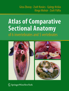 Zboray / Kovács / Kriska | Atlas of Comparative Sectional Anatomy of 6 invertebrates and 5 vertebrates | E-Book | sack.de