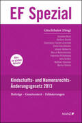 Gitschthaler |  Kindschafts- und Namensrechts-Änderungsgesetz 2013 | Buch |  Sack Fachmedien