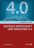 Raffling / Schock |  Digitale Wirtschaft und Industrie 4.0 | Buch |  Sack Fachmedien