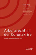 Kozak |  Arbeitsrecht in der Coronakrise | Buch |  Sack Fachmedien