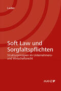 Ladler |  Soft Law und Sorgfaltspflichten Strukturprinzipien im Unternehmens- und Wirtschaftsrecht | Buch |  Sack Fachmedien
