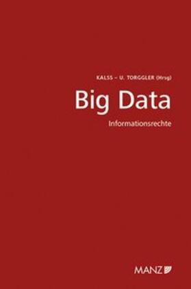 Kalss / Torggler | Big Data - Informationsrecht 5. Wiener Unternehmensrechtstag | Buch | 978-3-214-03246-3 | sack.de