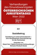 Kert / Kirchmayr-Schliesselberger / Windisch-Graetz |  Sozialbetrug im Unternehmensbereich - eine interdisziplinäre Herausforderung für den Rechtsstaat | Buch |  Sack Fachmedien