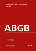 Lukas / Geroldinger / Rummel |  PAKET: ABGB-Kommentar 4.Auflage | Buch |  Sack Fachmedien