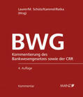 Laurer / Schütz / Kammel |  Kommentar zum Bankwesengesetz - BWG inkl. 43. Lfg. | Buch |  Sack Fachmedien