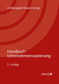 Lichtkoppler / Reisch |  Handbuch Unternehmenssanierung | Buch |  Sack Fachmedien