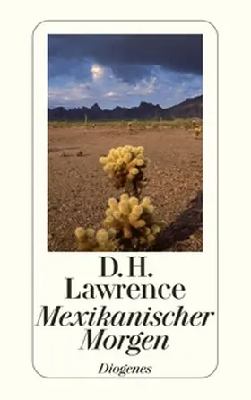 Lawrence |  Mexikanischer Morgen | Buch |  Sack Fachmedien