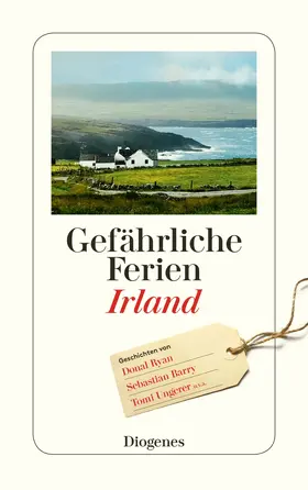 Hertzsch |  Gefährliche Ferien - Irland | Buch |  Sack Fachmedien