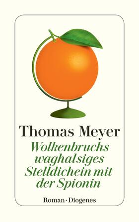 Meyer | Wolkenbruchs waghalsiges Stelldichein mit der Spionin | Buch | 978-3-257-24582-0 | sack.de