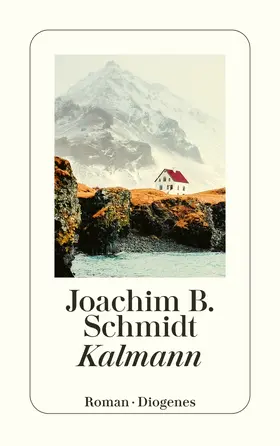Schmidt | Kalmann | Buch | 978-3-257-24644-5 | www.sack.de