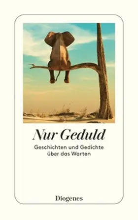 Schoknecht |  Nur Geduld | Buch |  Sack Fachmedien